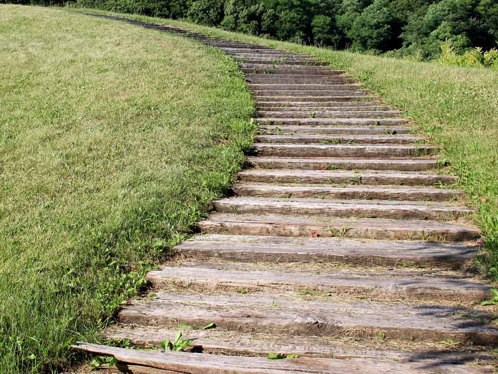 Allée grimpante en bois